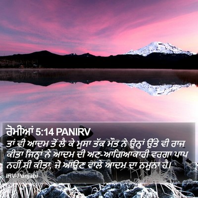 ਰੋਮੀਆਂ 5:14 PANIRV Bible Verse Image