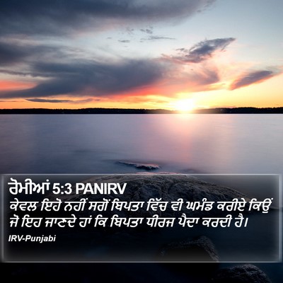 ਰੋਮੀਆਂ 5:3 PANIRV Bible Verse Image