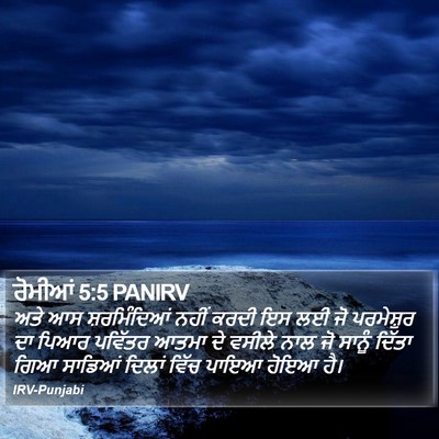 ਰੋਮੀਆਂ 5:5 PANIRV Bible Verse Image