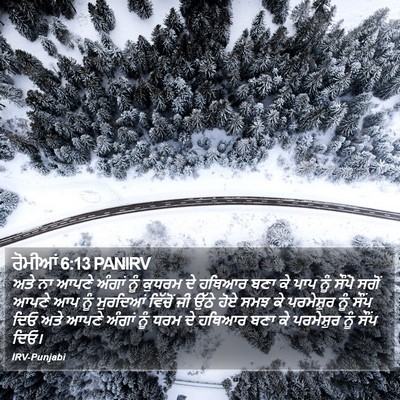 ਰੋਮੀਆਂ 6:13 PANIRV Bible Verse Image