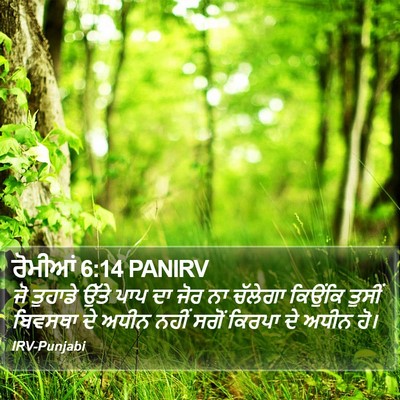 ਰੋਮੀਆਂ 6:14 PANIRV Bible Verse Image