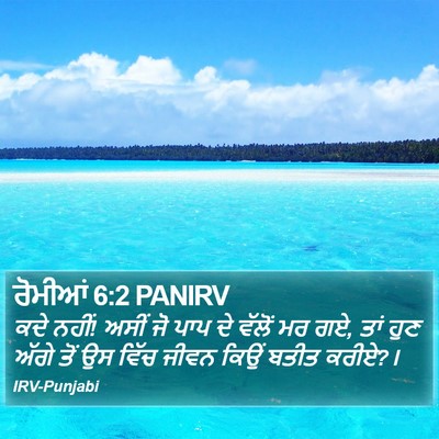 ਰੋਮੀਆਂ 6:2 PANIRV Bible Verse Image