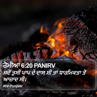 ਰੋਮੀਆਂ 6:20 PANIRV Bible Verse Image