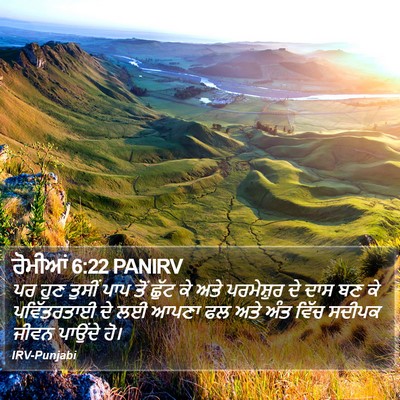 ਰੋਮੀਆਂ 6:22 PANIRV Bible Verse Image