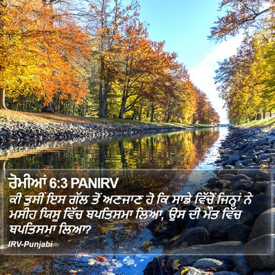 ਰੋਮੀਆਂ 6:3 PANIRV Bible Verse Image