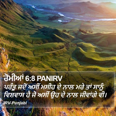 ਰੋਮੀਆਂ 6:8 PANIRV Bible Verse Image
