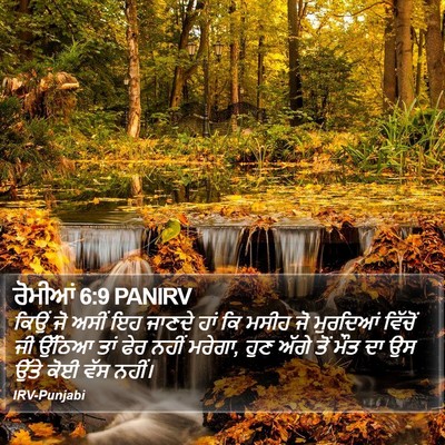 ਰੋਮੀਆਂ 6:9 PANIRV Bible Verse Image
