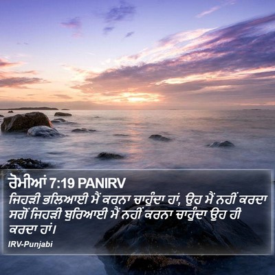 ਰੋਮੀਆਂ 7:19 PANIRV Bible Verse Image