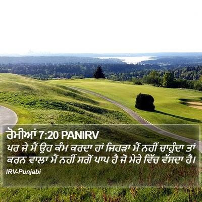 ਰੋਮੀਆਂ 7:20 PANIRV Bible Verse Image