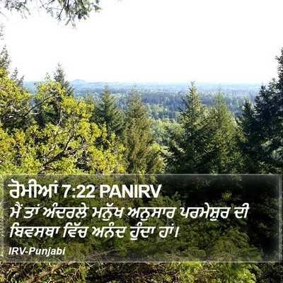 ਰੋਮੀਆਂ 7:22 PANIRV Bible Verse Image