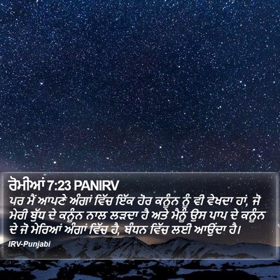 ਰੋਮੀਆਂ 7:23 PANIRV Bible Verse Image