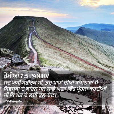 ਰੋਮੀਆਂ 7:5 PANIRV Bible Verse Image