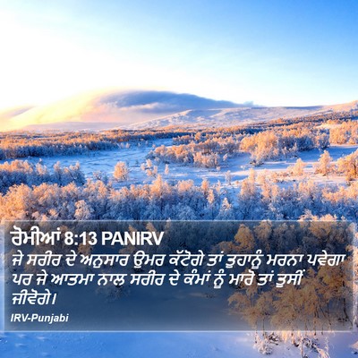 ਰੋਮੀਆਂ 8:13 PANIRV Bible Verse Image