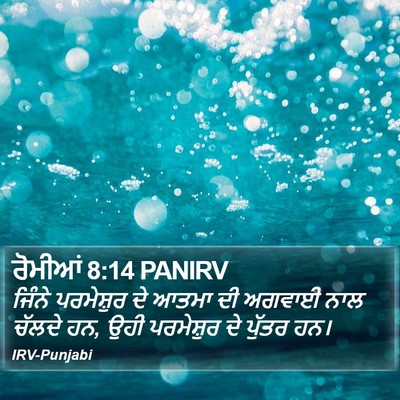 ਰੋਮੀਆਂ 8:14 PANIRV Bible Verse Image