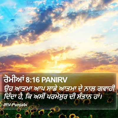ਰੋਮੀਆਂ 8:16 PANIRV Bible Verse Image