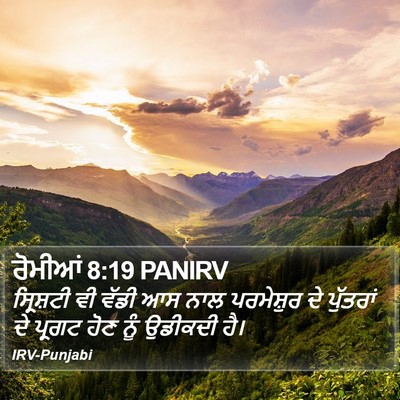 ਰੋਮੀਆਂ 8:19 PANIRV Bible Verse Image