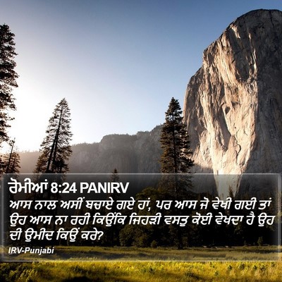 ਰੋਮੀਆਂ 8:24 PANIRV Bible Verse Image