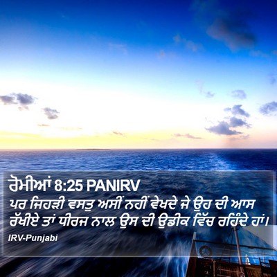 ਰੋਮੀਆਂ 8:25 PANIRV Bible Verse Image