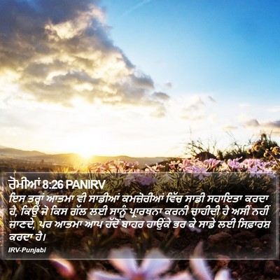 ਰੋਮੀਆਂ 8:26 PANIRV Bible Verse Image