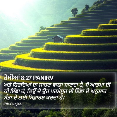 ਰੋਮੀਆਂ 8:27 PANIRV Bible Verse Image