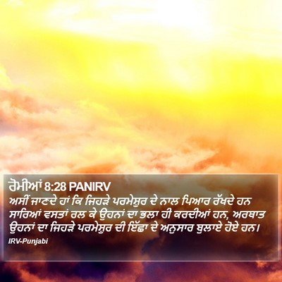 ਰੋਮੀਆਂ 8:28 PANIRV Bible Verse Image