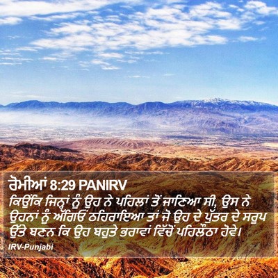ਰੋਮੀਆਂ 8:29 PANIRV Bible Verse Image