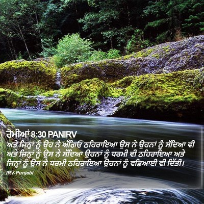 ਰੋਮੀਆਂ 8:30 PANIRV Bible Verse Image