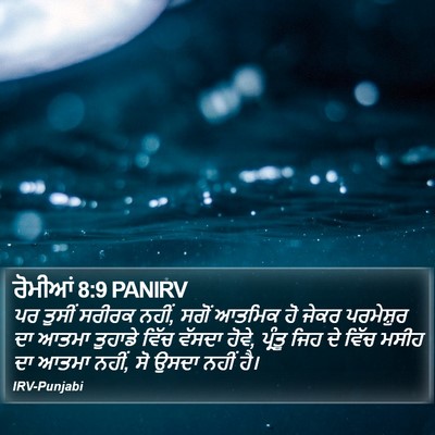 ਰੋਮੀਆਂ 8:9 PANIRV Bible Verse Image