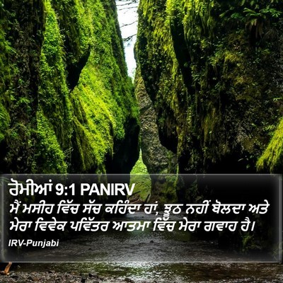 ਰੋਮੀਆਂ 9:1 PANIRV Bible Verse Image