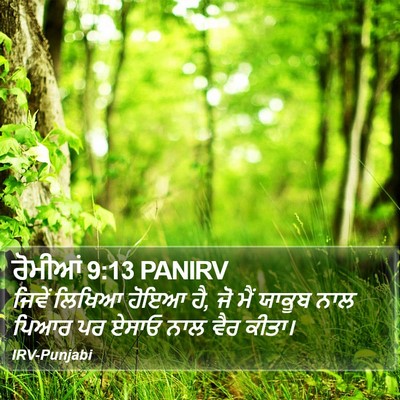 ਰੋਮੀਆਂ 9:13 PANIRV Bible Verse Image