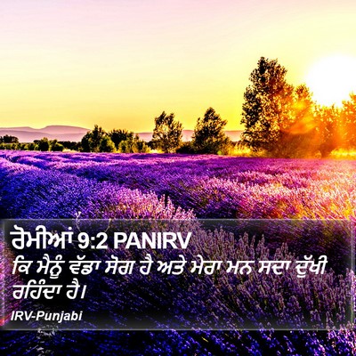 ਰੋਮੀਆਂ 9:2 PANIRV Bible Verse Image