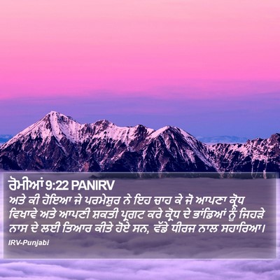 ਰੋਮੀਆਂ 9:22 PANIRV Bible Verse Image