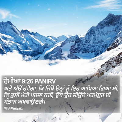 ਰੋਮੀਆਂ 9:26 PANIRV Bible Verse Image