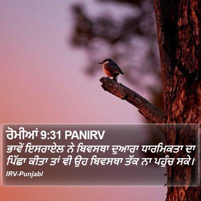 ਰੋਮੀਆਂ 9:31 PANIRV Bible Verse Image