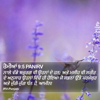 ਰੋਮੀਆਂ 9:5 PANIRV Bible Verse Image