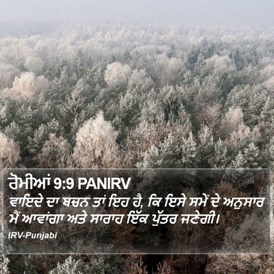ਰੋਮੀਆਂ 9:9 PANIRV Bible Verse Image