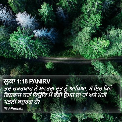 ਲੂਕਾ 1:18 PANIRV Bible Verse Image