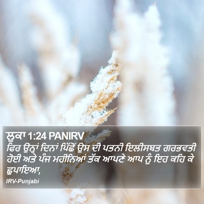 ਲੂਕਾ 1:24 PANIRV Bible Verse Image