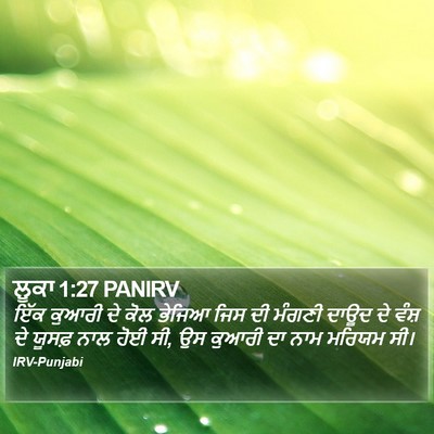 ਲੂਕਾ 1:27 PANIRV Bible Verse Image