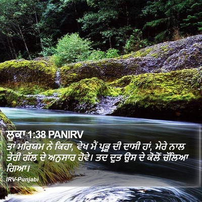 ਲੂਕਾ 1:38 PANIRV Bible Verse Image