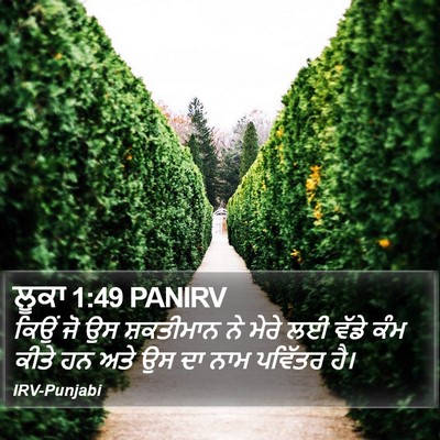 ਲੂਕਾ 1:49 PANIRV Bible Verse Image