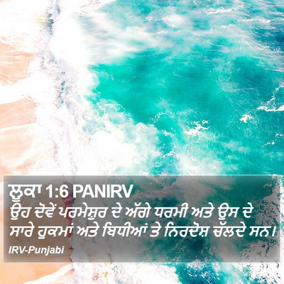 ਲੂਕਾ 1:6 PANIRV Bible Verse Image