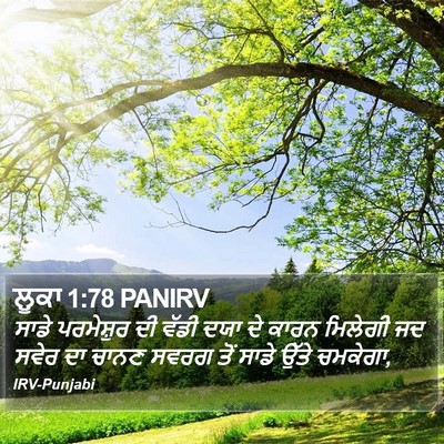 ਲੂਕਾ 1:78 PANIRV Bible Verse Image