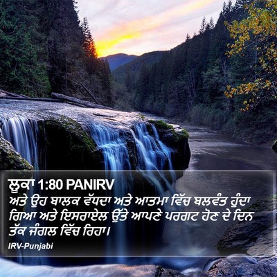 ਲੂਕਾ 1:80 PANIRV Bible Verse Image