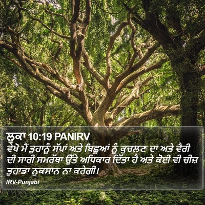 ਲੂਕਾ 10:19 PANIRV Bible Verse Image