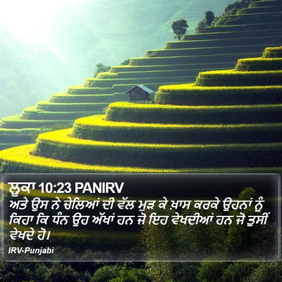 ਲੂਕਾ 10:23 PANIRV Bible Verse Image