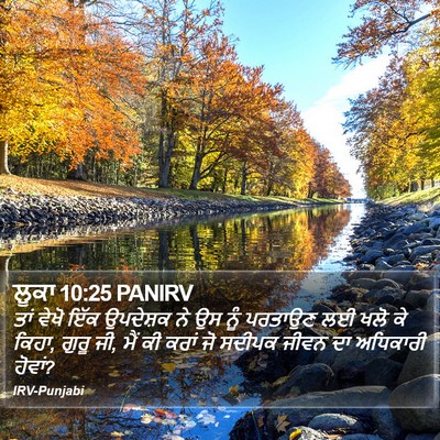 ਲੂਕਾ 10:25 PANIRV Bible Verse Image