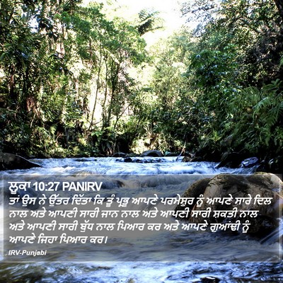 ਲੂਕਾ 10:27 PANIRV Bible Verse Image