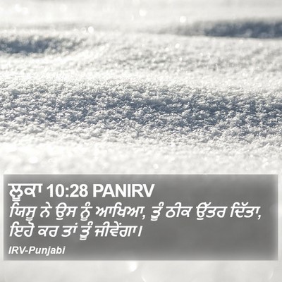 ਲੂਕਾ 10:28 PANIRV Bible Verse Image