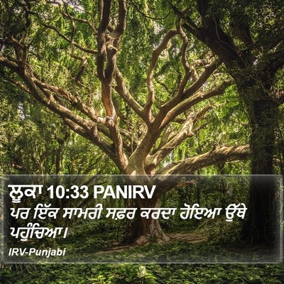 ਲੂਕਾ 10:33 PANIRV Bible Verse Image